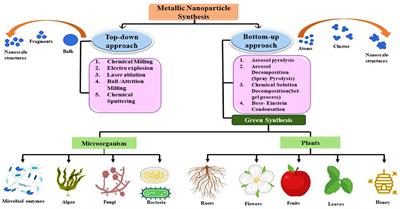 Remediation of heavy metal(loid) contaminated soil through green nanotechnology